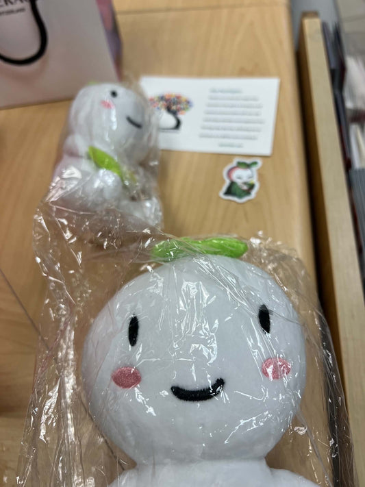 Bringing Psych2Go to Life: The Journey Behind Our 350 Plushies