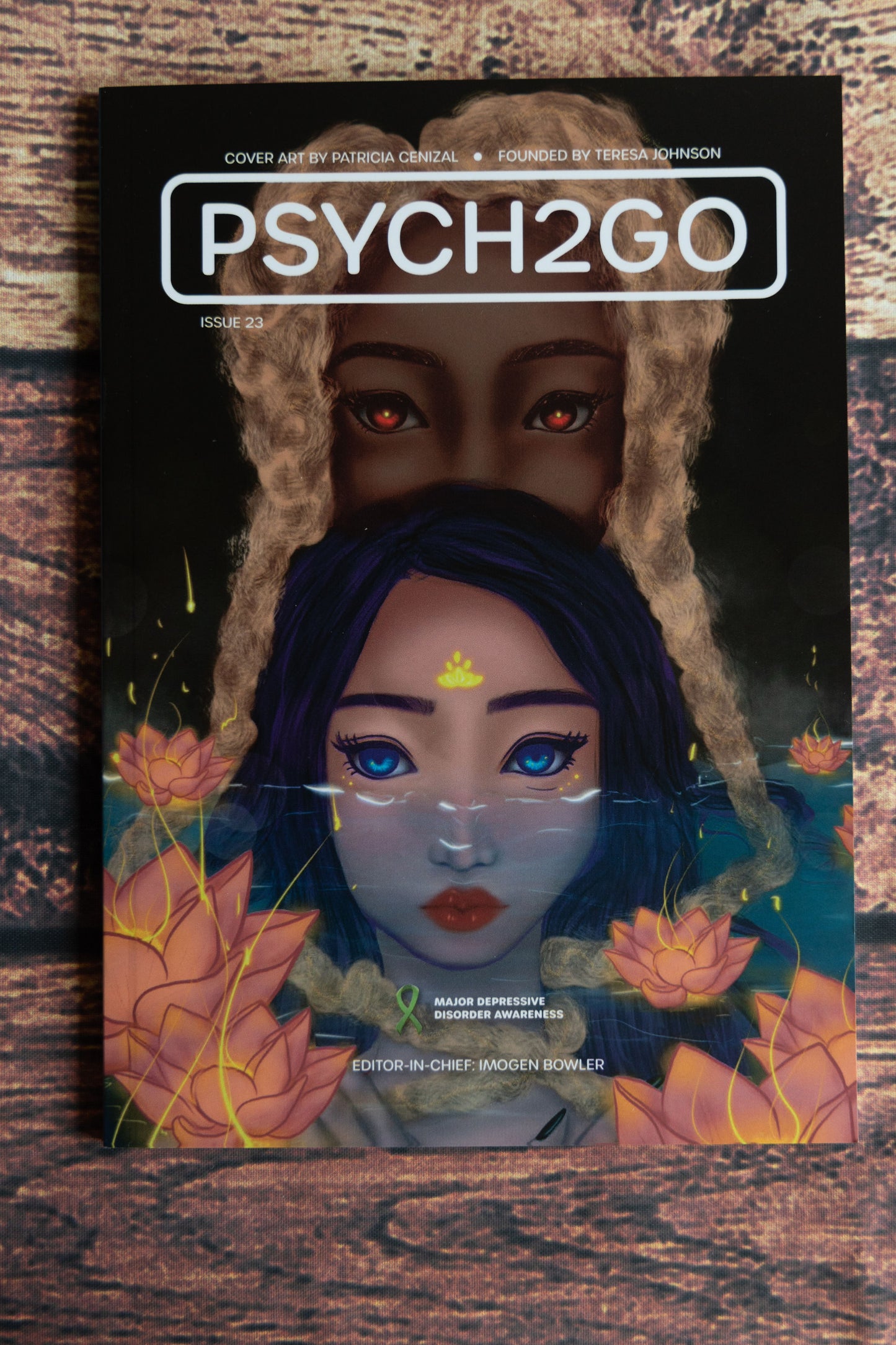 Psych2Go Magazine #23 - Major Depressive disorder (Physical)