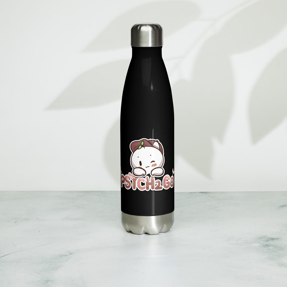 Stainless Steel Water Bottle